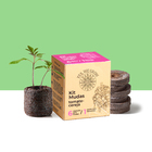 Kit Mudas | Tomate Cereja